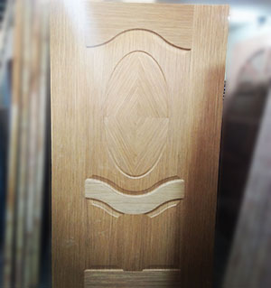 moulded door