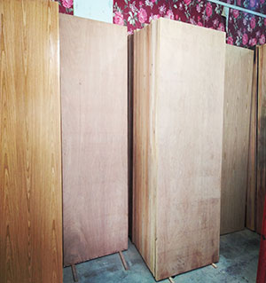 plain flush door